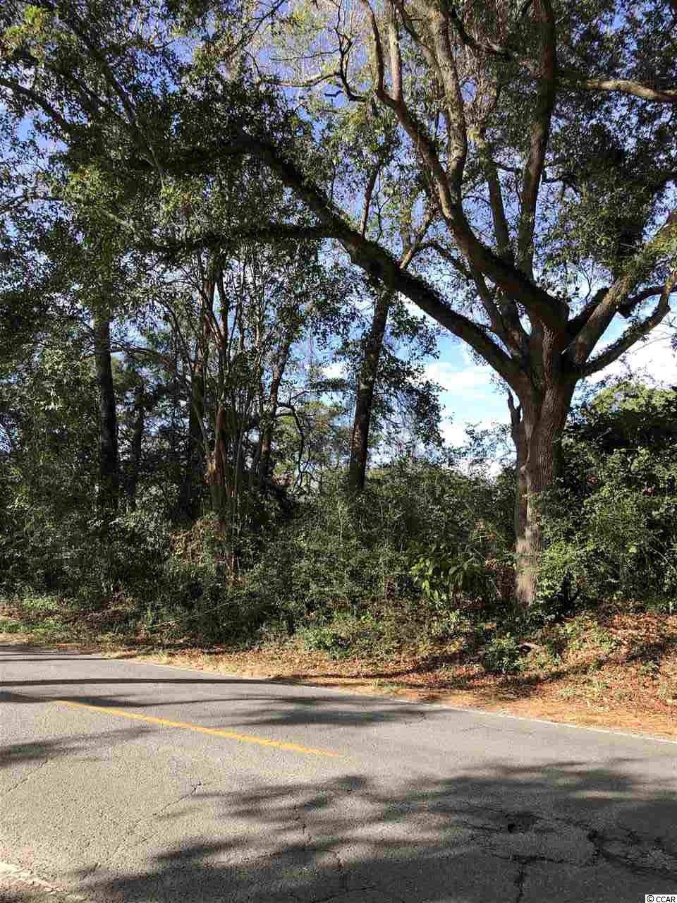TBD Wachesaw Rd. - Photo 1