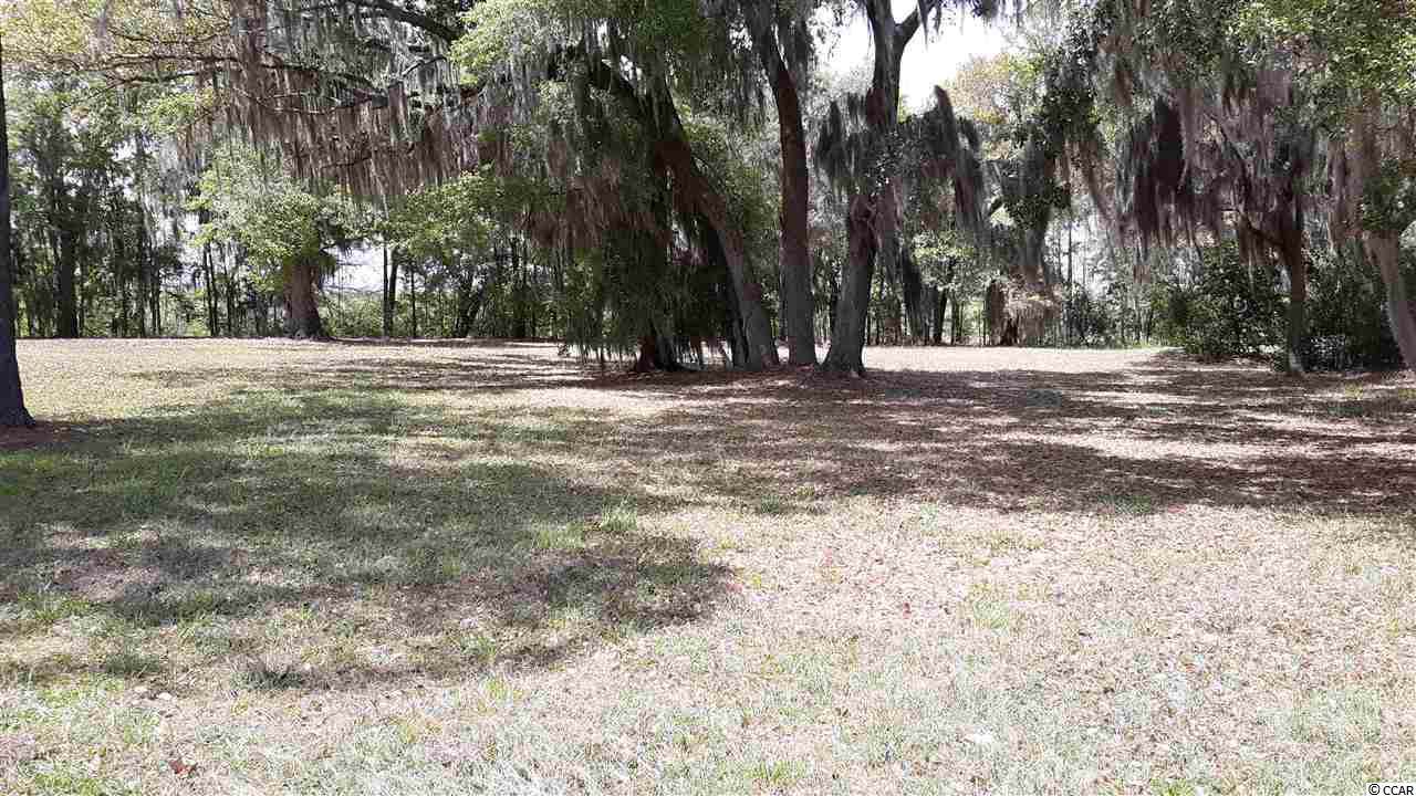 602 Chapman Loop - Photo 1 602 Chapman Loop - Photo 1