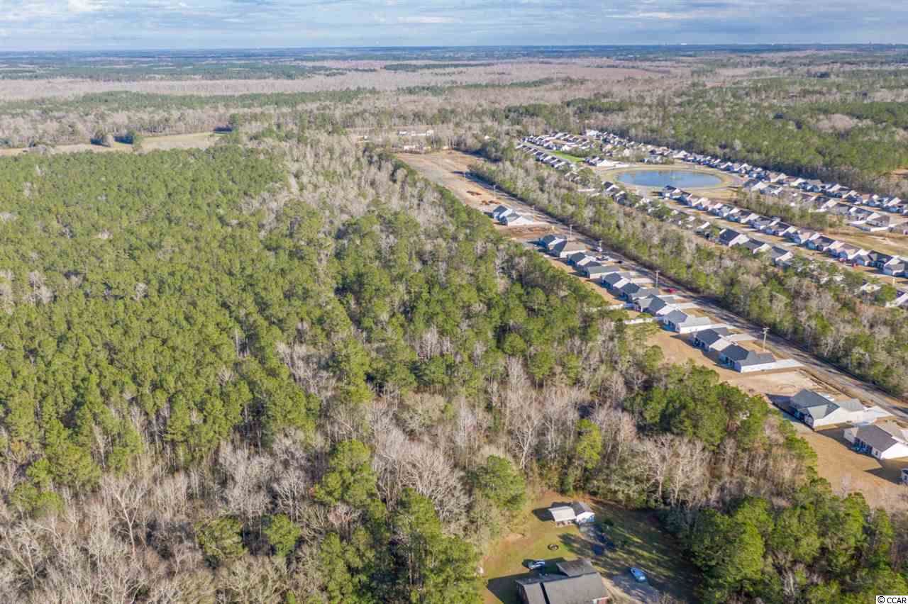 Lot 6 Bear Bluff Rd. - Photo 1
