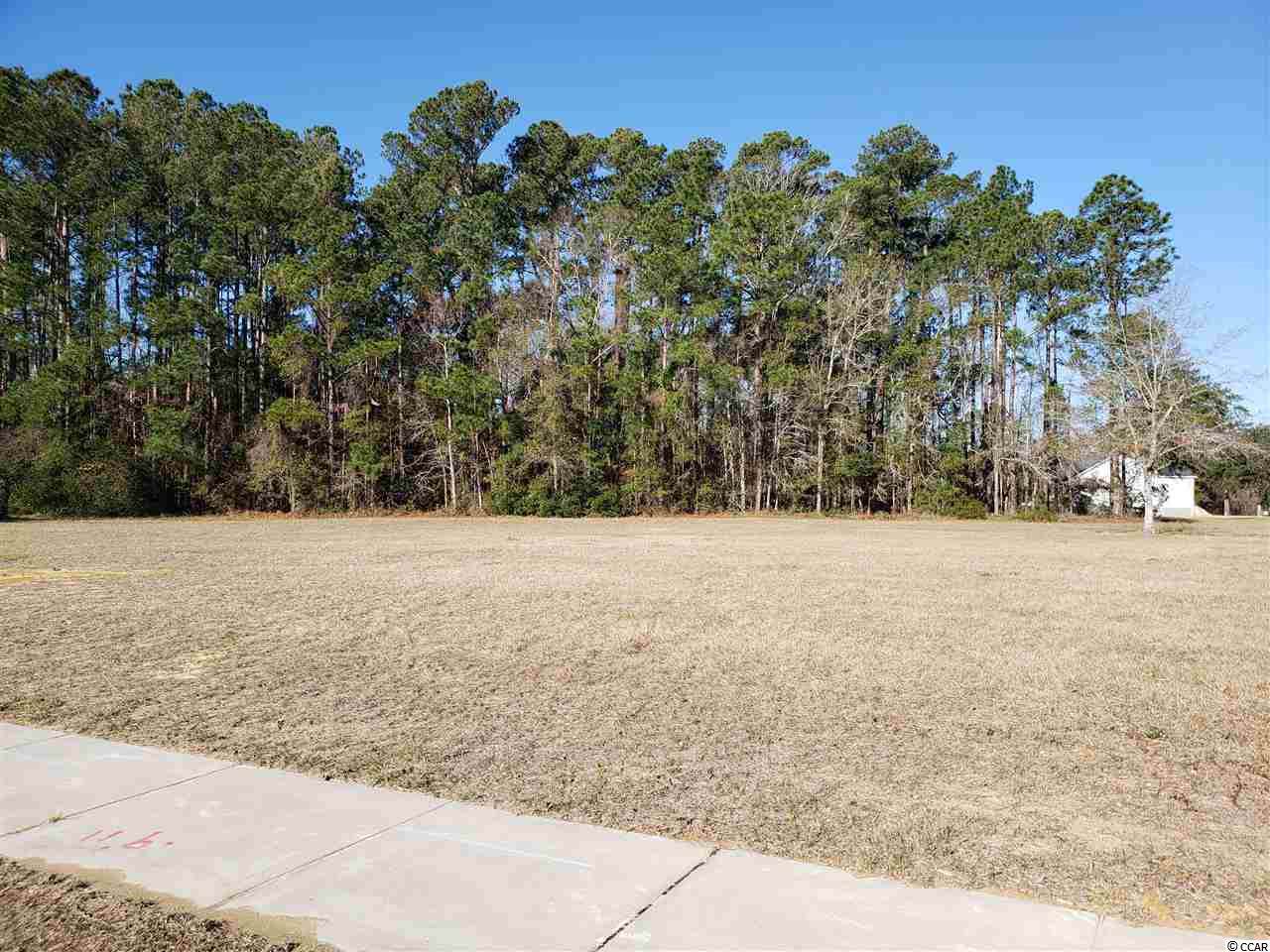 Lot 45 Bay St. - Photo 1