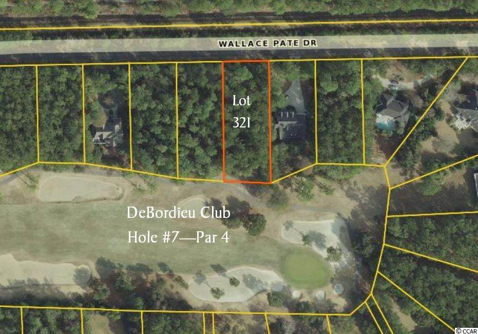 Lot 321 Wallace Pate Dr. - Photo 1