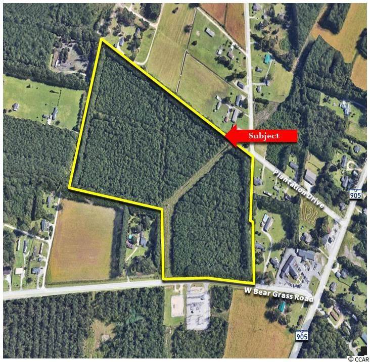 Bear Grass Rd. - Photo 1