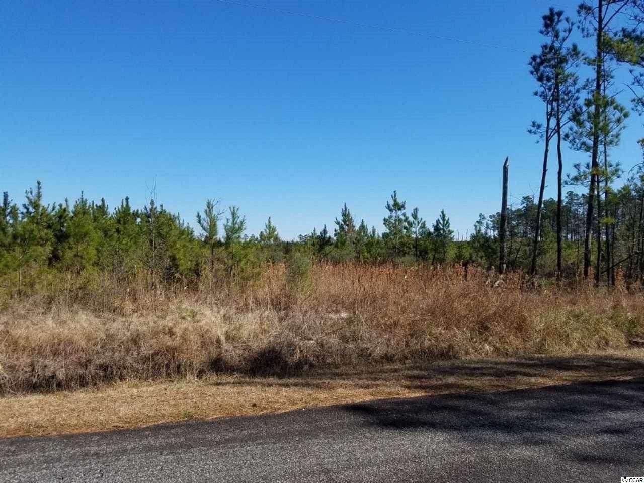 TBD Bigelow Dr. - Photo 1