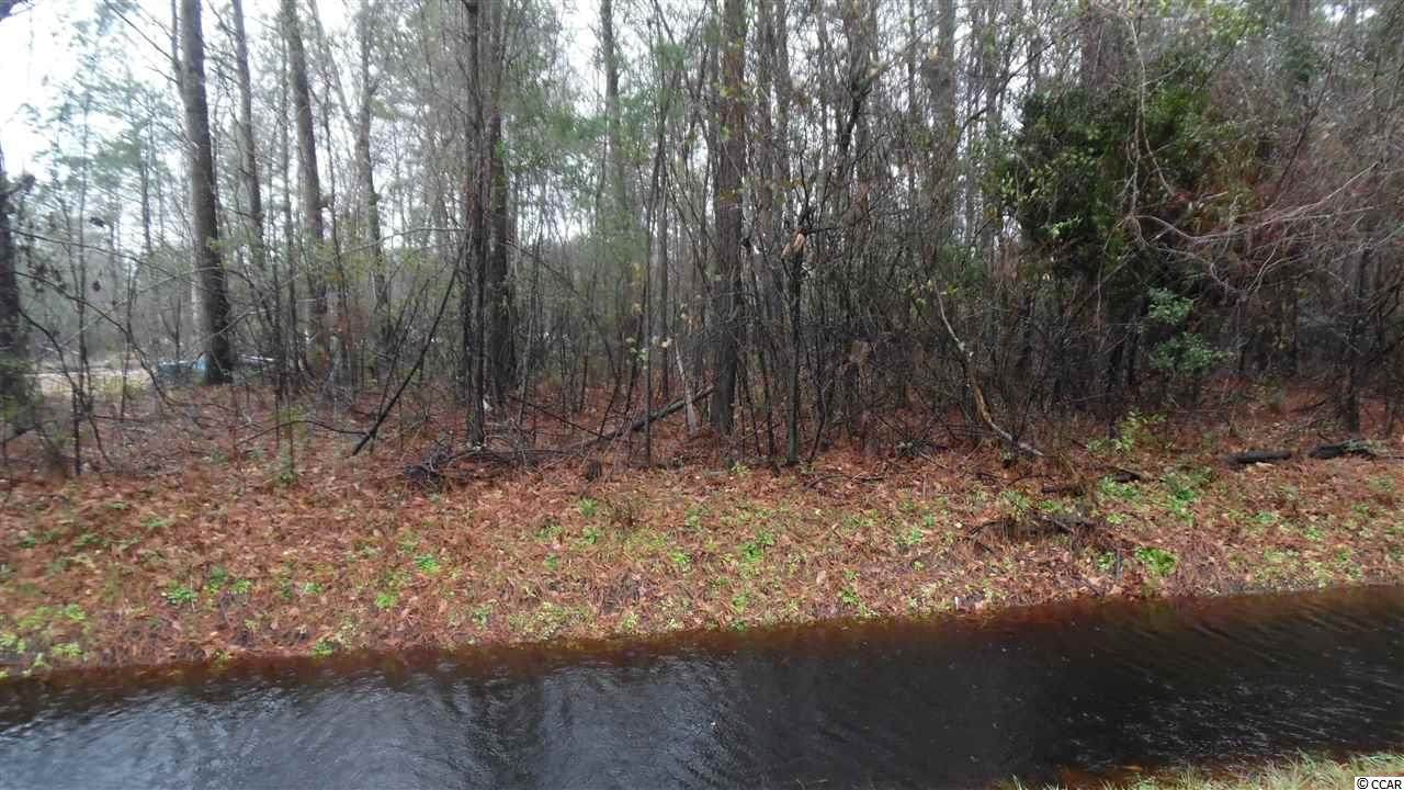 Lot 38 Waccamaw River Rd. - Photo 1