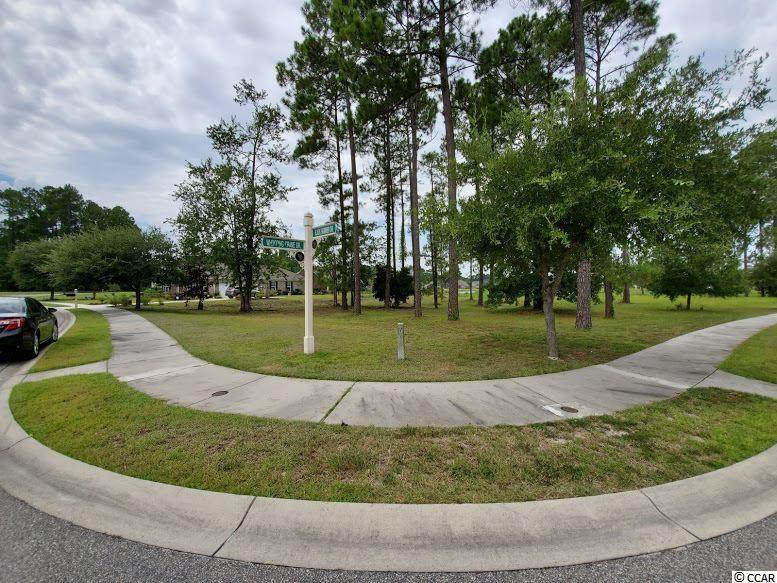 1404 Whooping Crane Dr. - Photo 1