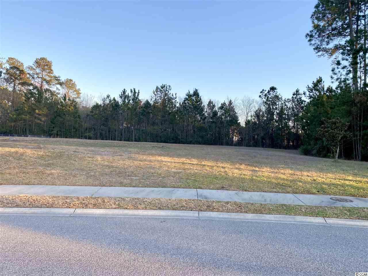 1011 Black Skimmer Dr. - Photo 1
