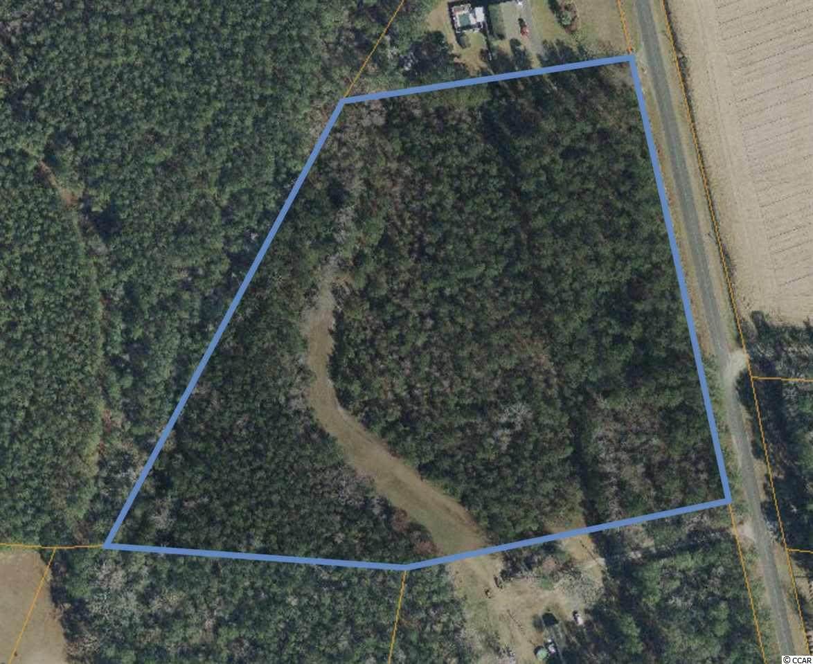8.2 acres Bear Bluff Rd. - Photo 1