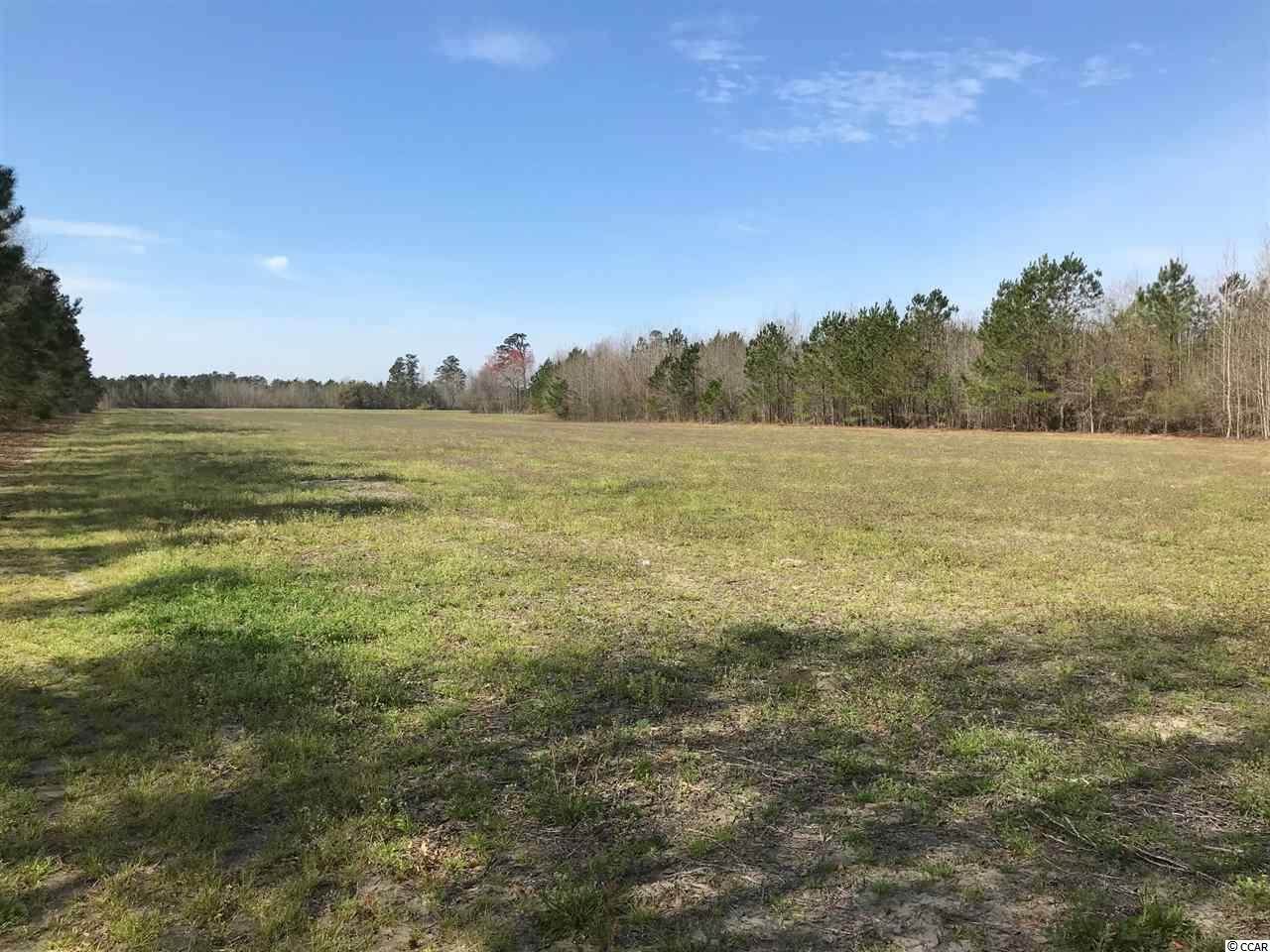 TBD Williamson Rd. - Photo 1