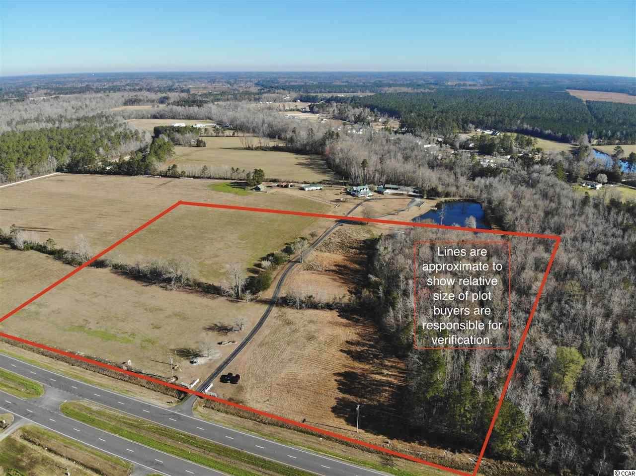 4852 Highway 501 - Photo 1
