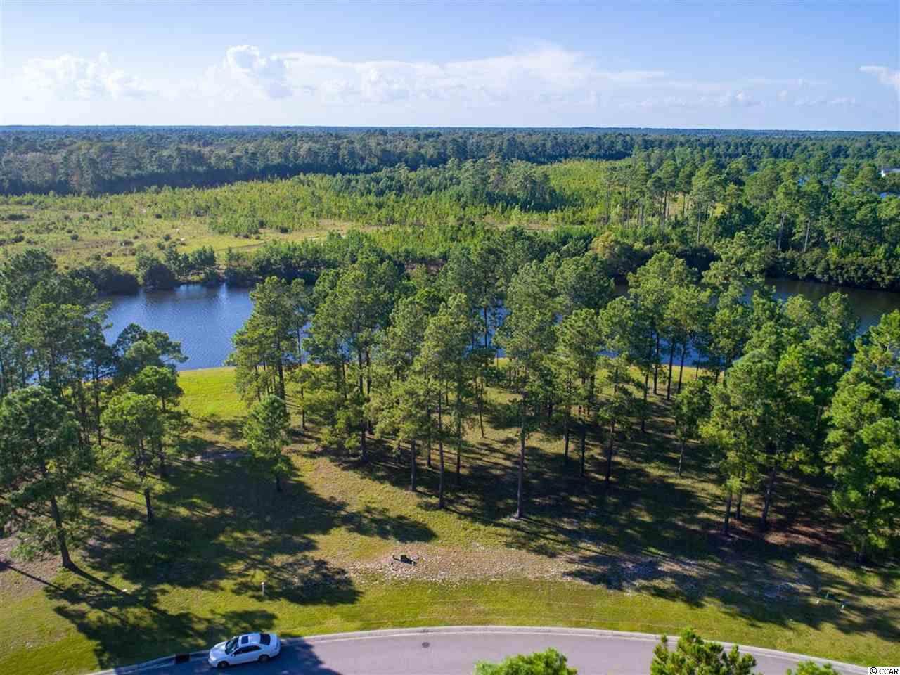 549 Starlit Way - Photo 1