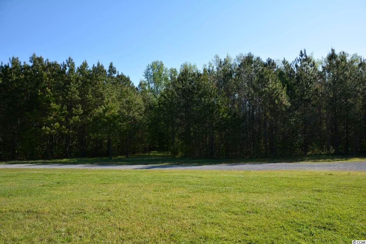 TBD Kayla Circle - Photo 1