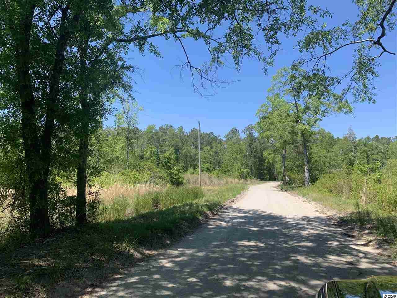 Lot 2 Mill Swamp Rd. - Photo 1