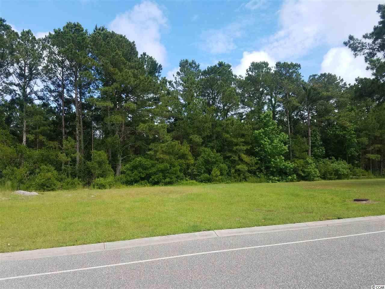 289 Waterfall Circle - Photo 1