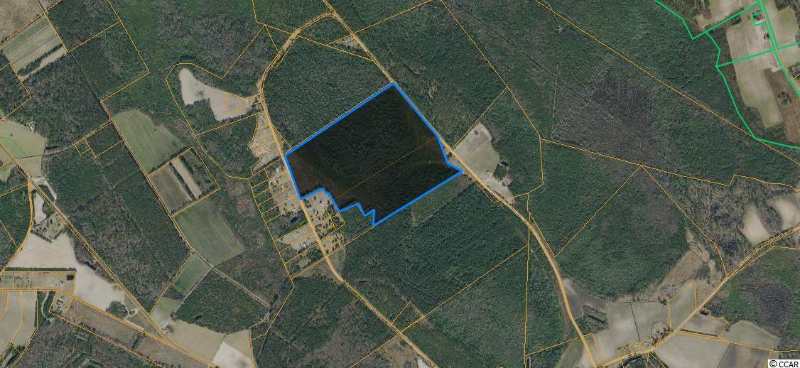 TBD Fifteen Mile Bay Rd. - Photo 1
