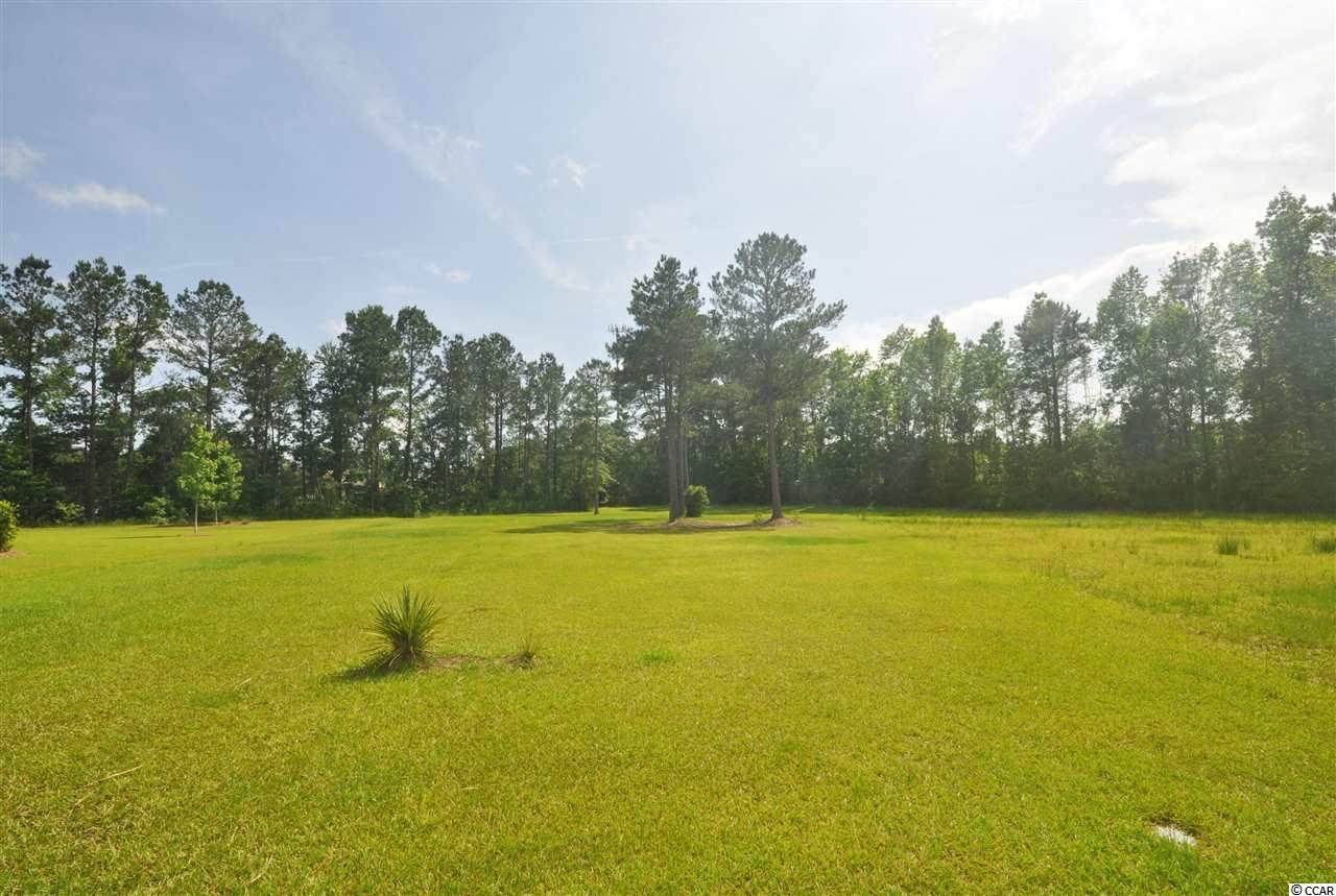 9442 Old Salem Way - Photo 1