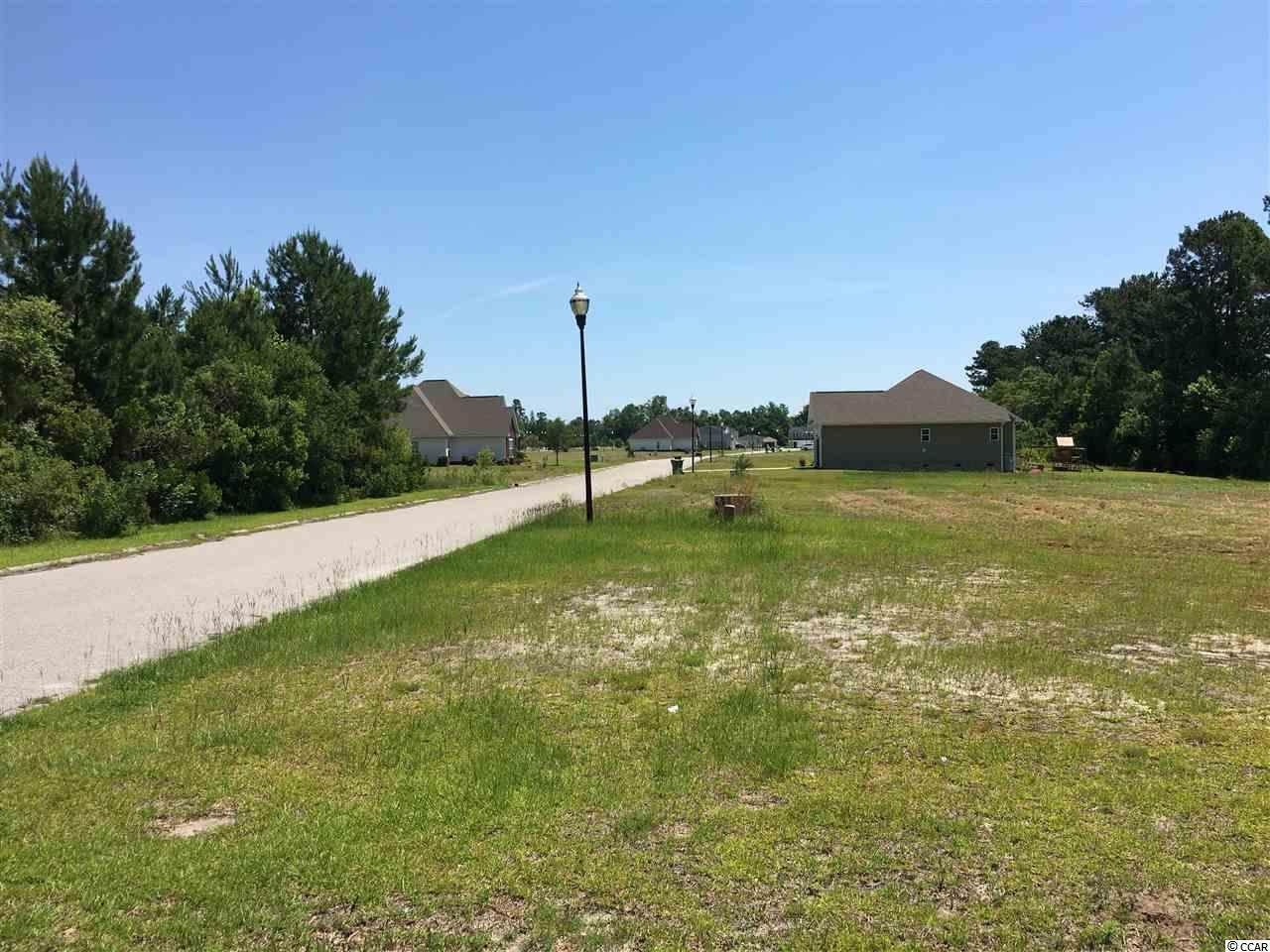 530 Mingo Trail - Photo 1