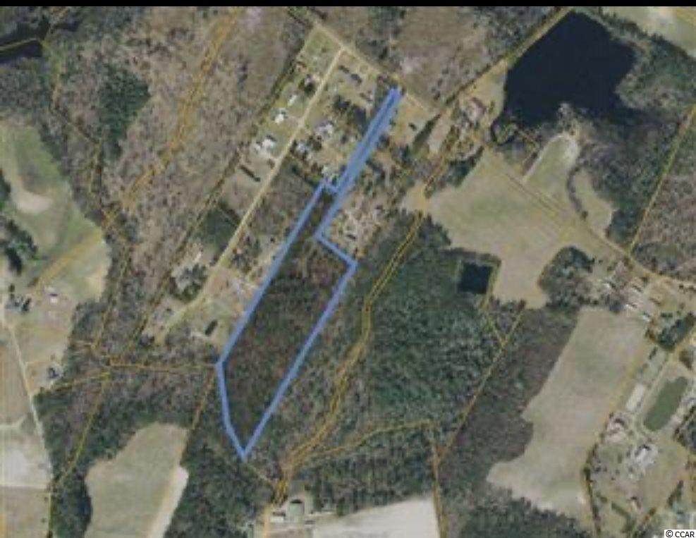 Dog Bluff Rd. - Photo 1