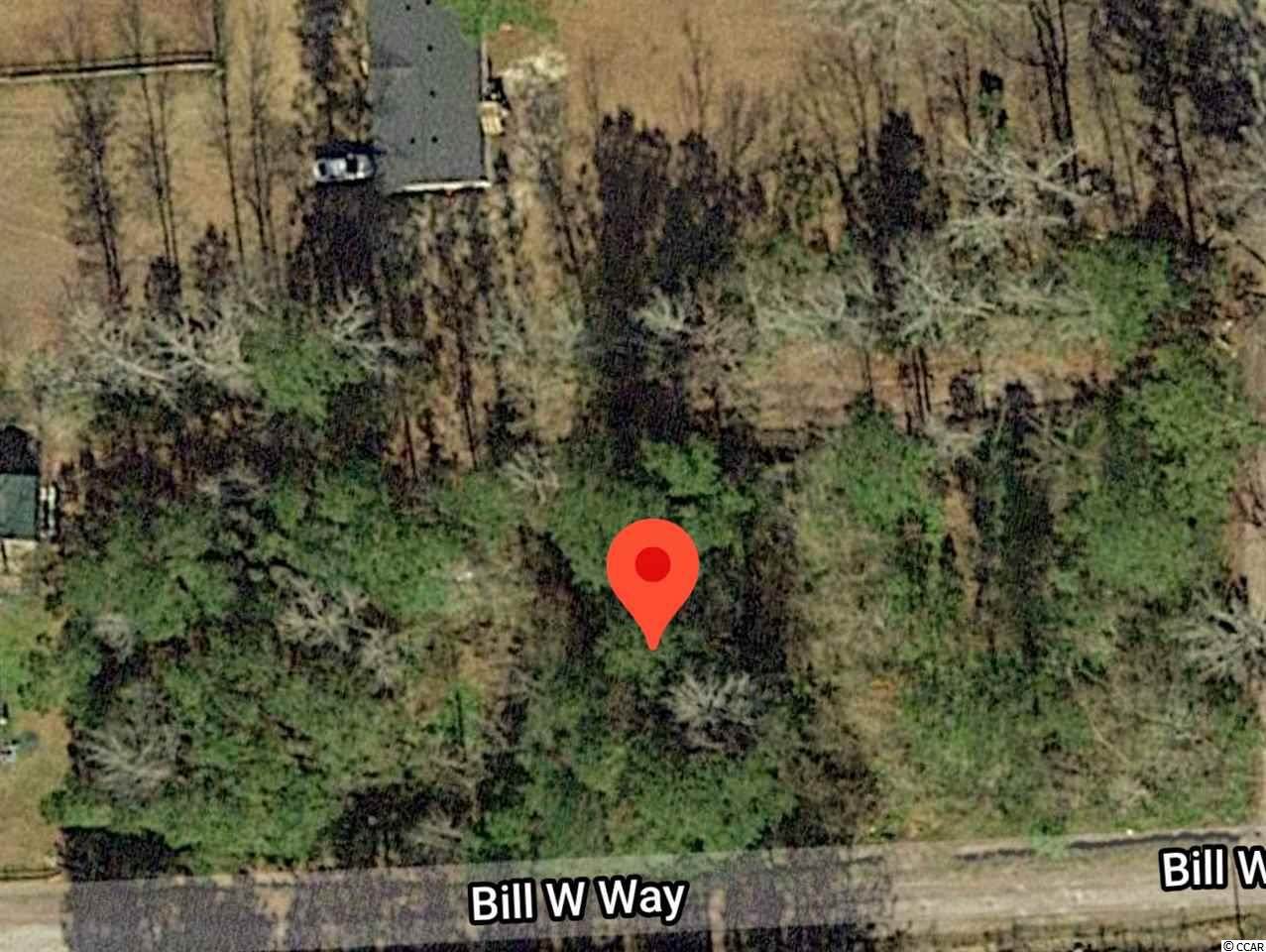 111 Bill W Way - Photo 1