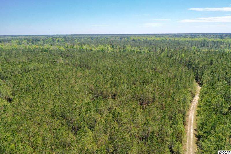 0 Piney Grove Rd. - Photo 1