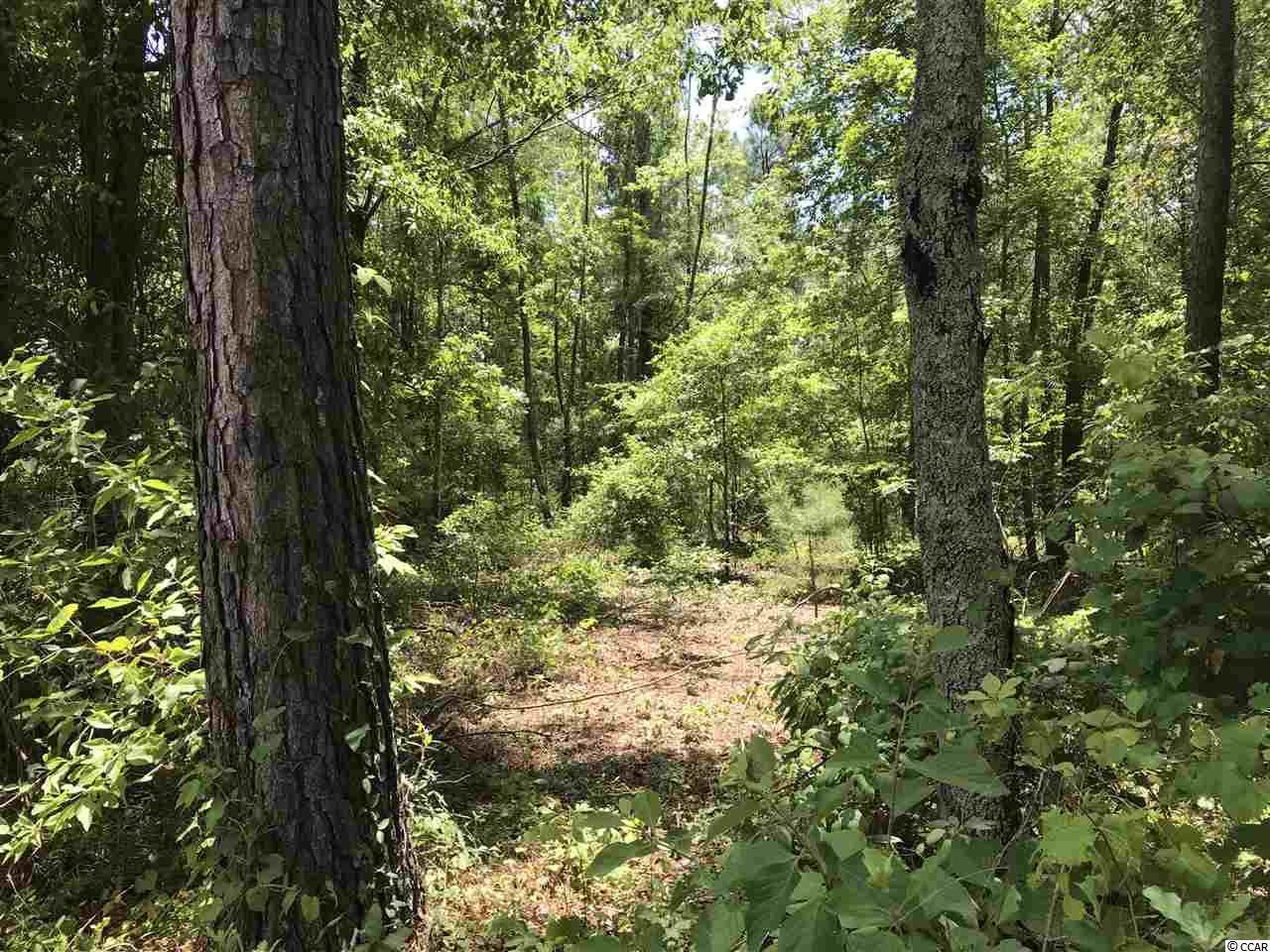 Lot 7 Chow Ln. - Photo 1