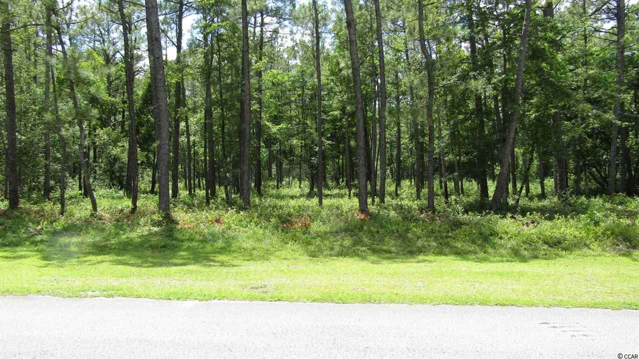 66 Pinewood Dr. - Photo 1