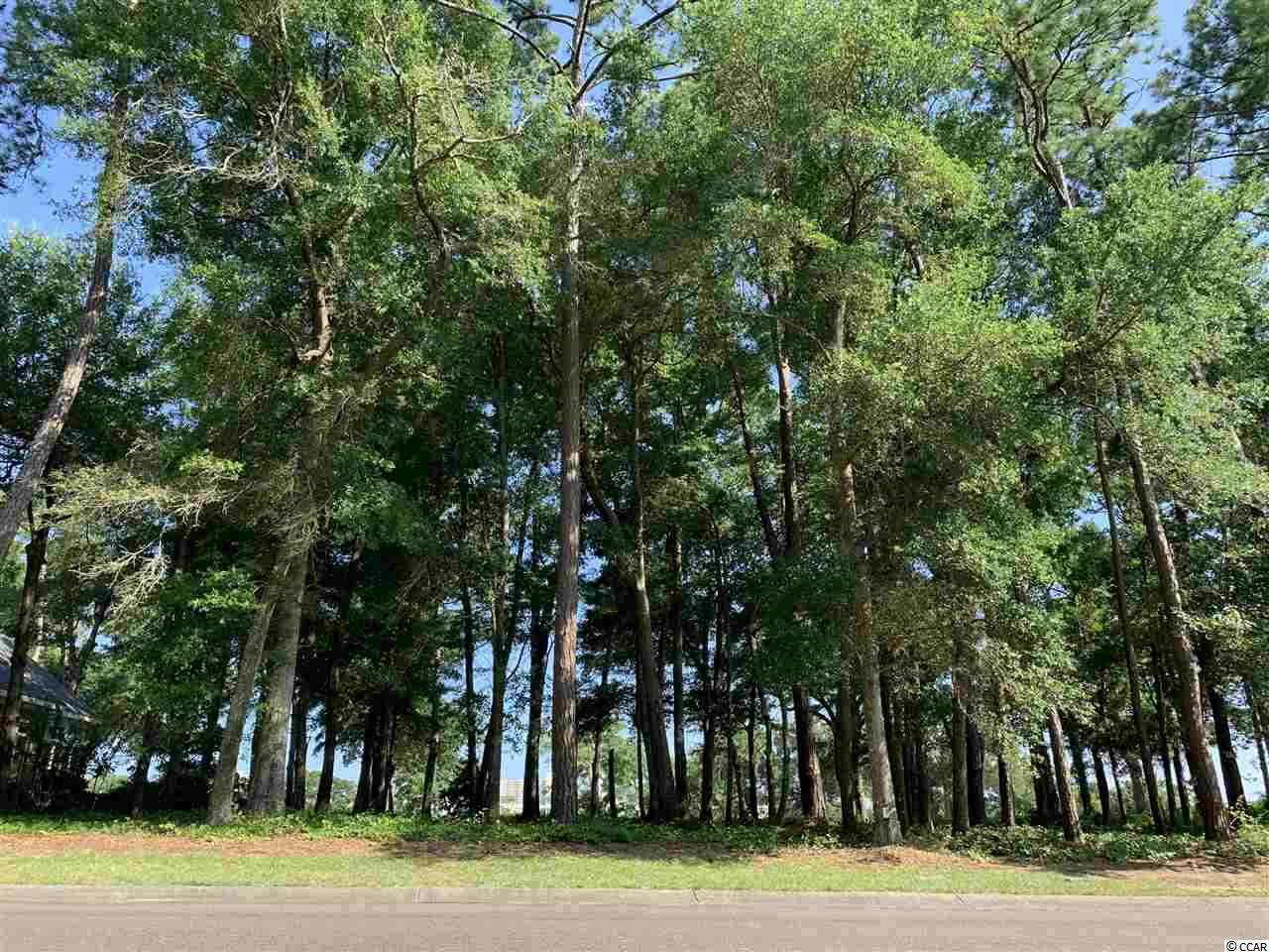 5010 Bucks Bluff Dr. - Photo 1