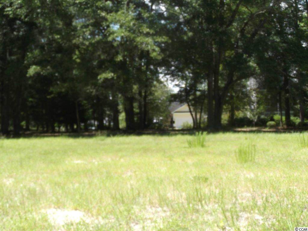 9309 Whisper Park Dr. - Photo 1