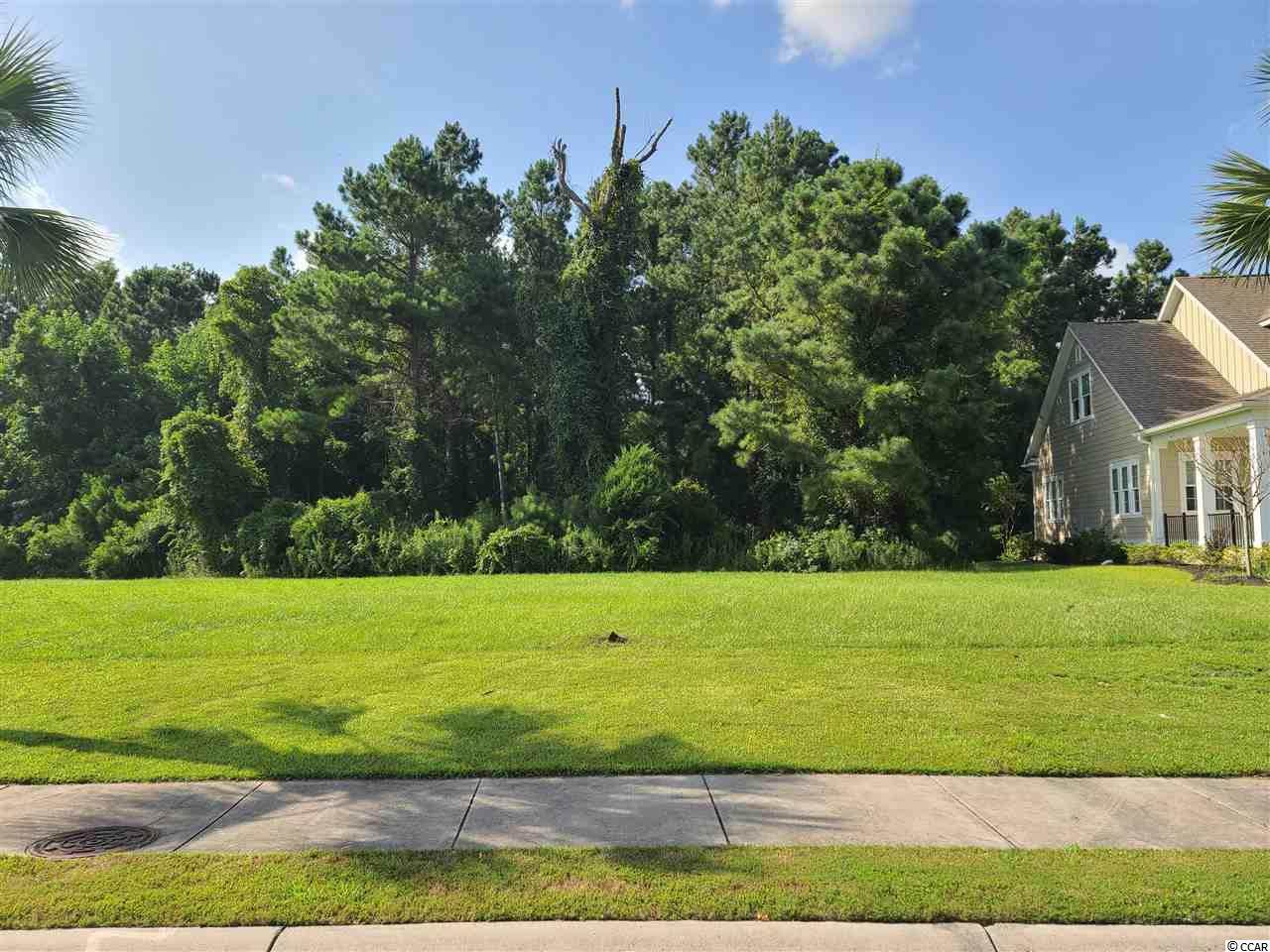 1183 Isle Of Palms Dr. - Photo 1