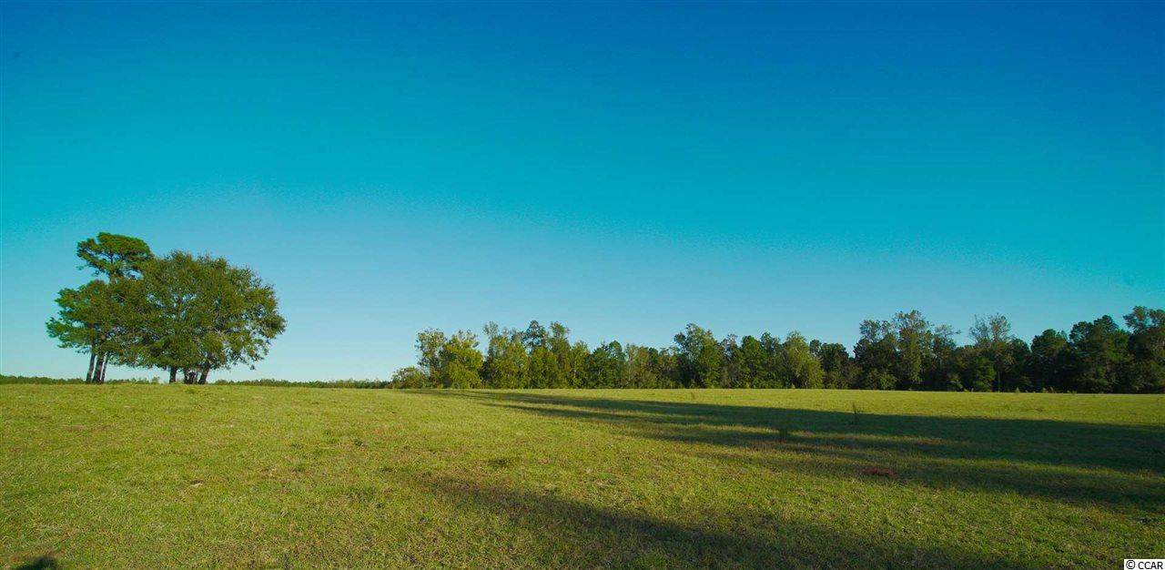 4500 Bottle Branch Rd. - Photo 1