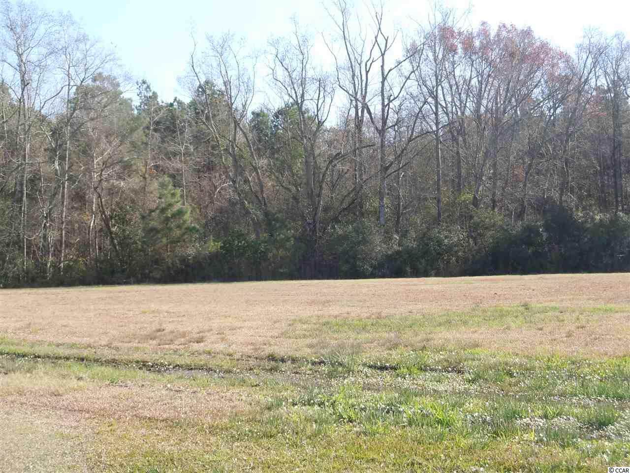 55 Misty Ln. - Photo 1