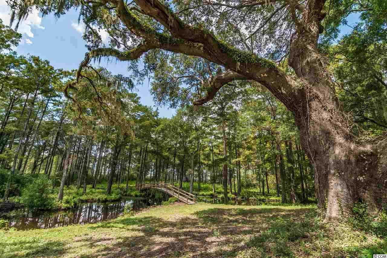 LOT A & B Joseph Isaac Way - Photo 1