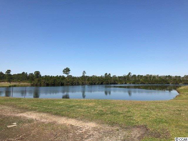 485 Starlit Way - Photo 1