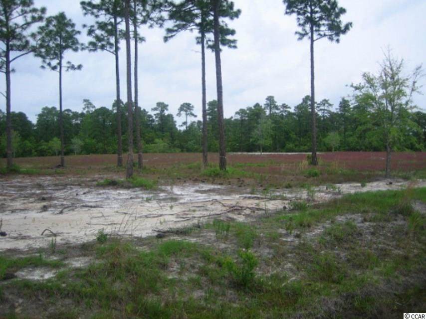 Redwolf Trail - Photo 1