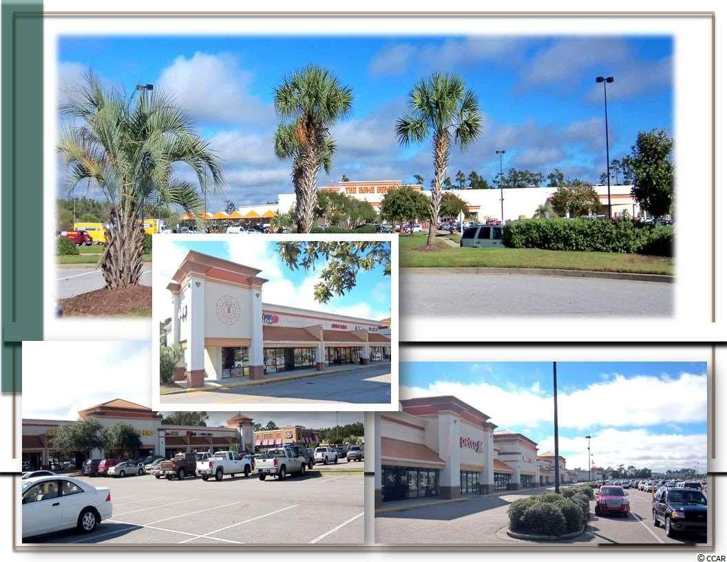 500 Highway 17 Business - Photo 1