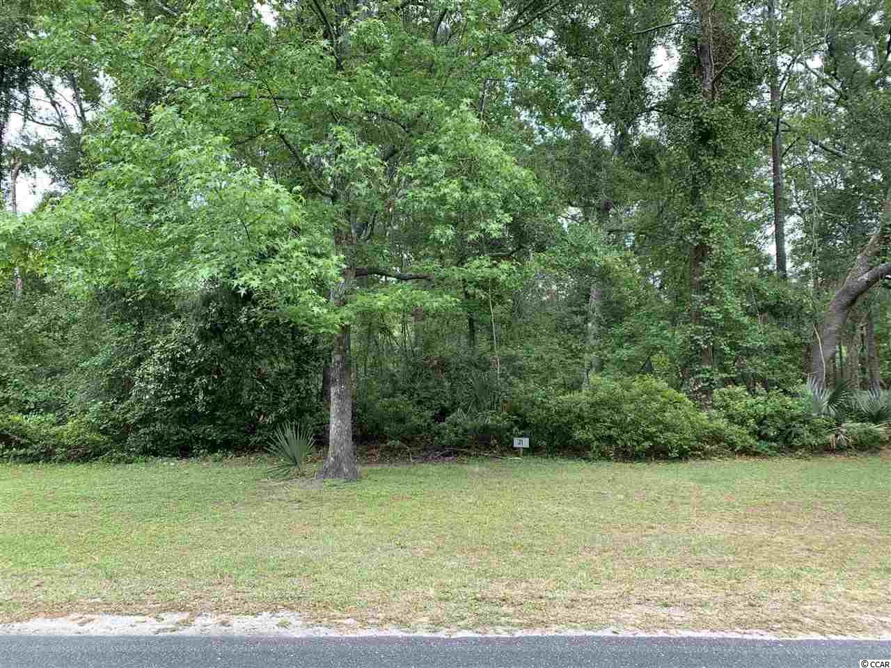 Lot 31 Wallace Pate Dr. - Photo 1