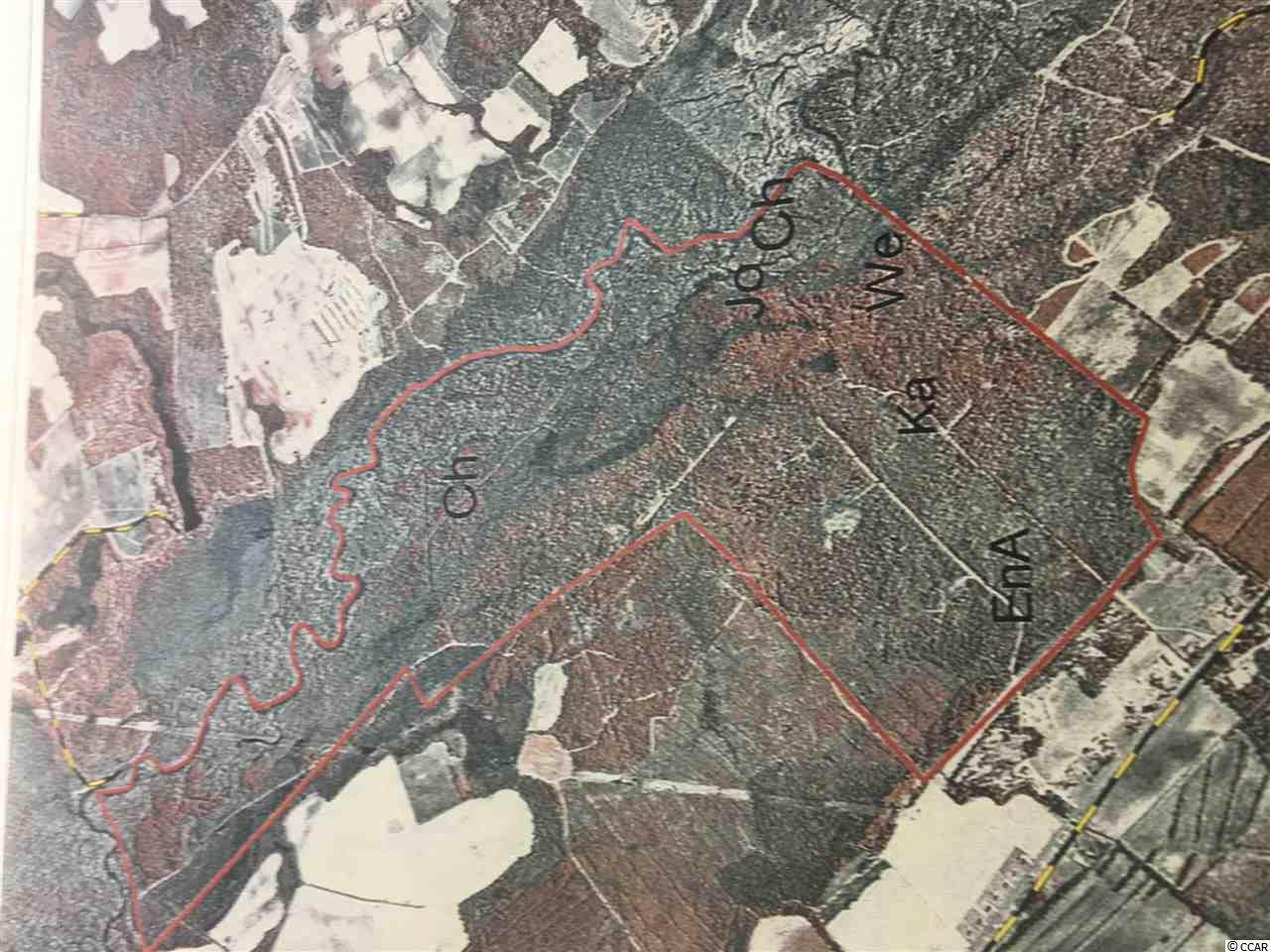 915 ac Field Bridge Rd. - Photo 1