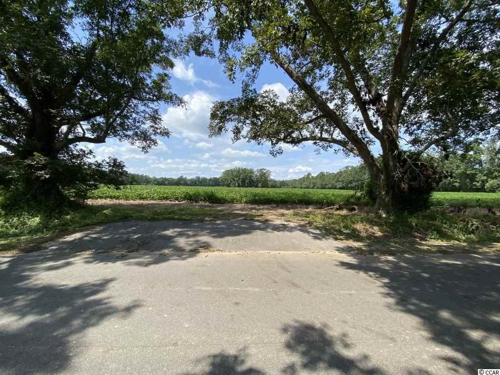 TBD Carter Rd. - Photo 1