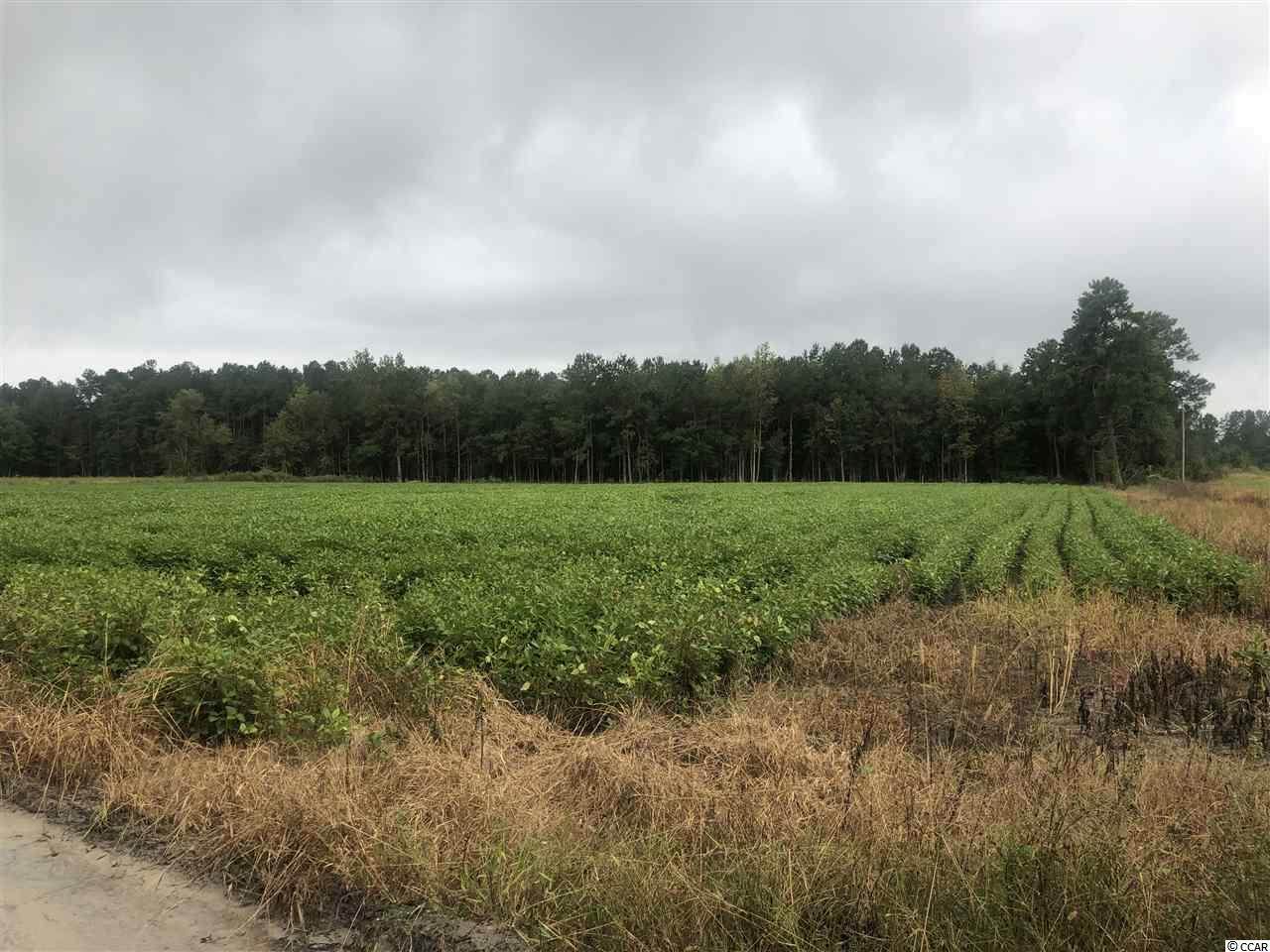 1 Ellis Rd. - Photo 1