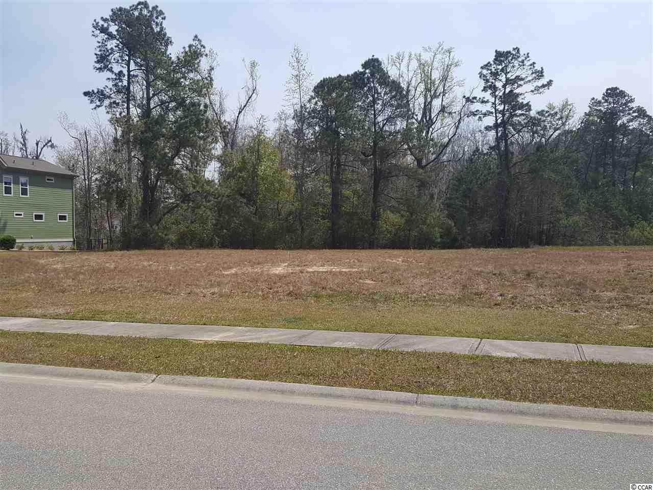 Lot 496 Cypress River Plantation - Photo 1