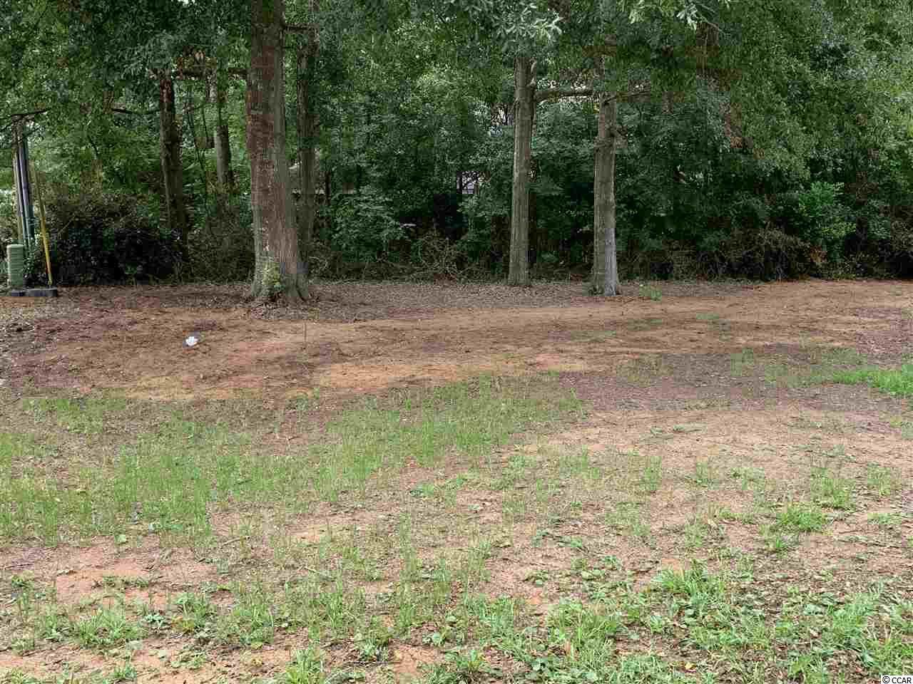 52 Sea Level Loop - Photo 1
