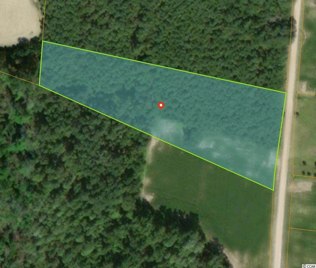 TBD Mamie Rd. - Photo 1