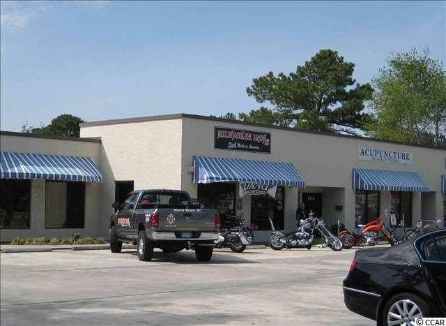 1510 Highway 17 Business North - Photo 1