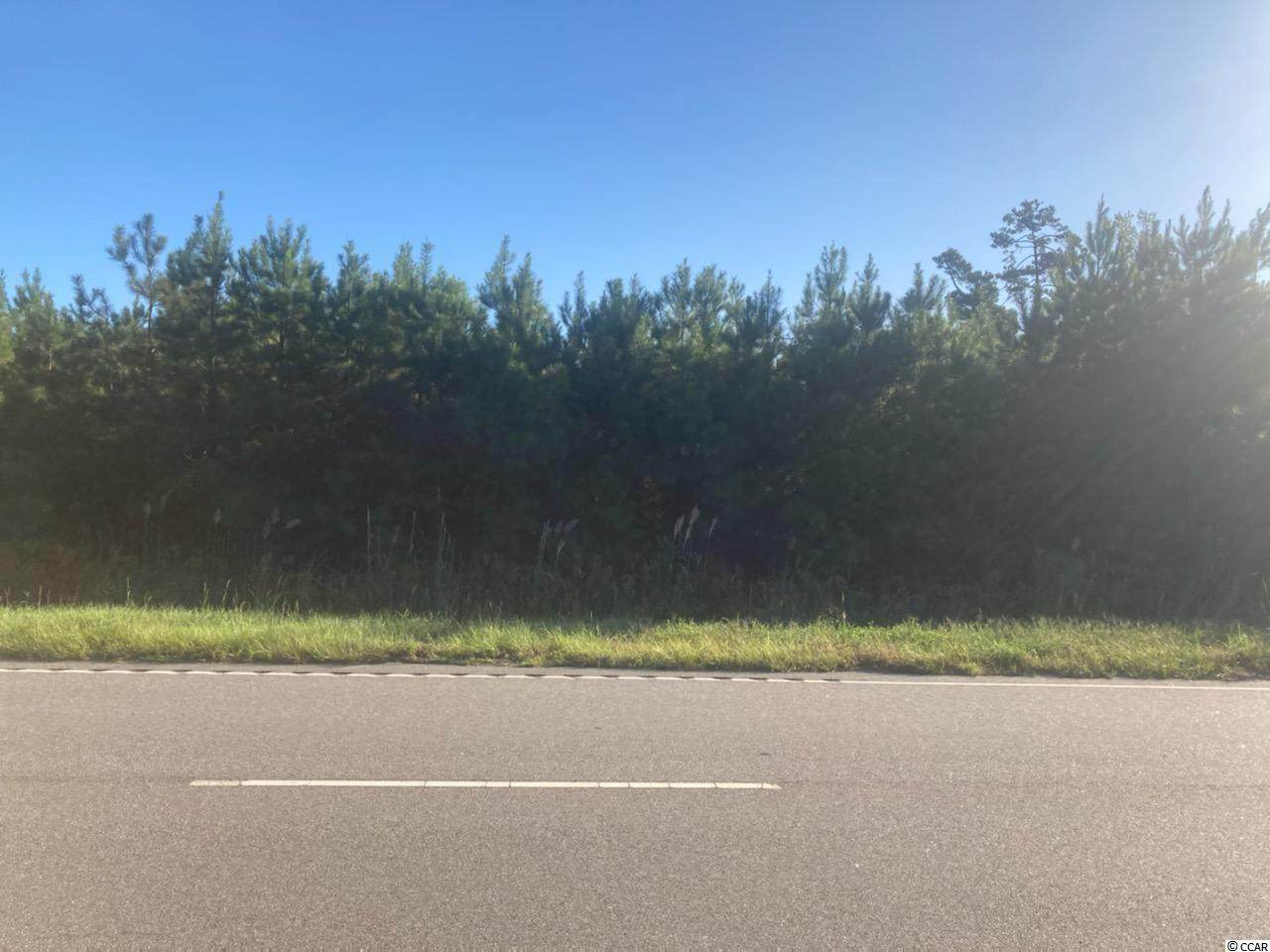 12.5 ac Myrtle Beach Highway - Photo 1