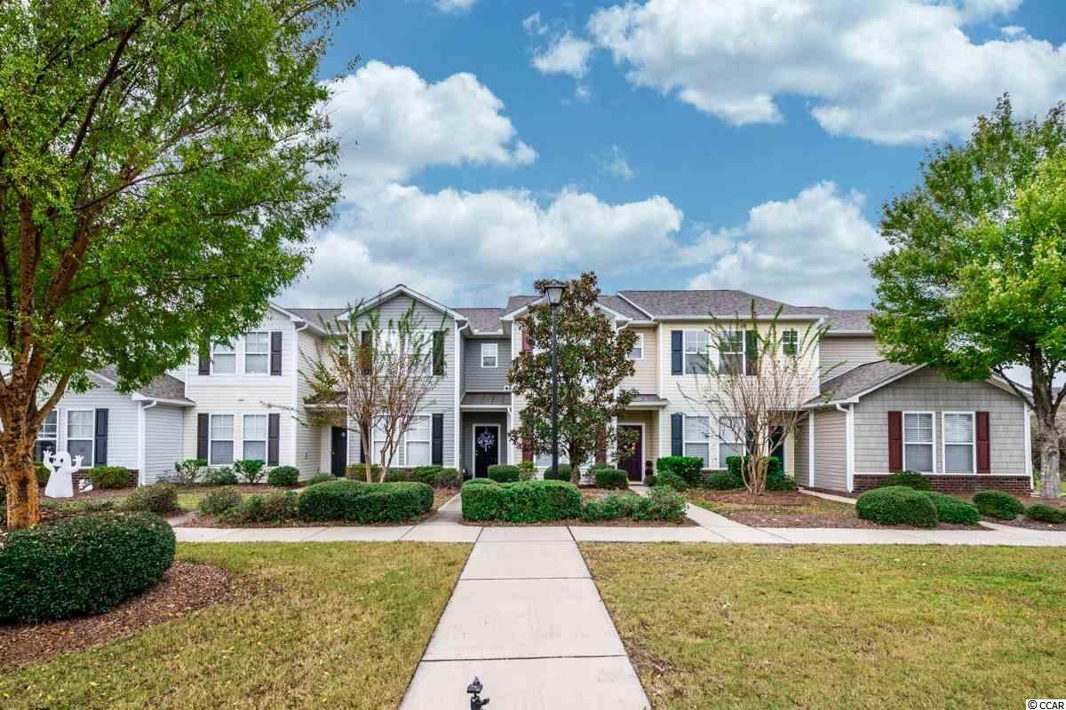 316 Kiskadee Loop - Photo 1