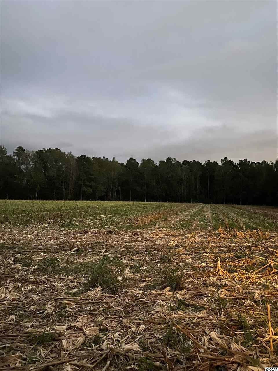 TBD Norris Rd. - Photo 1