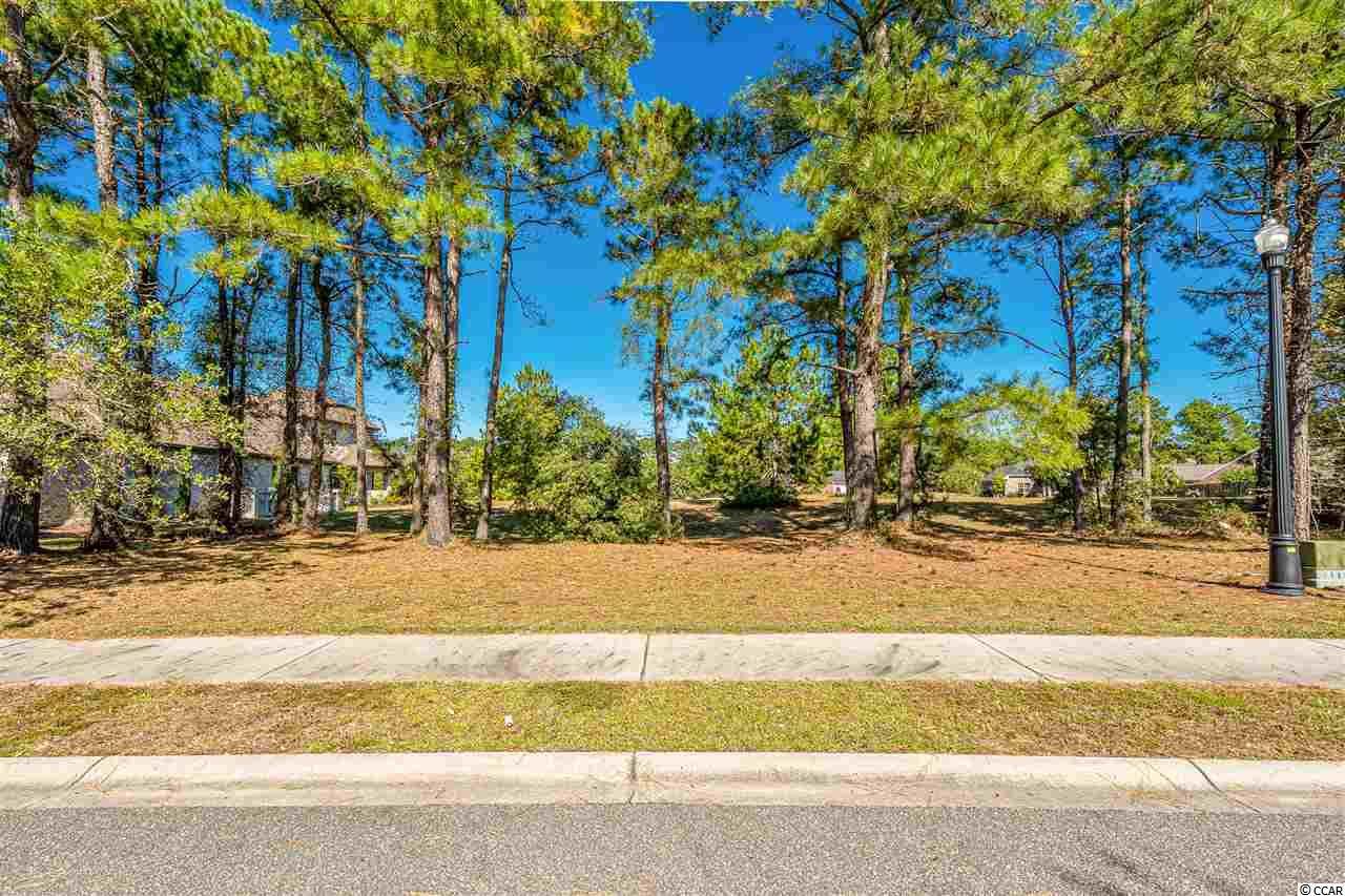 1221 Wood Stork Dr. - Photo 1