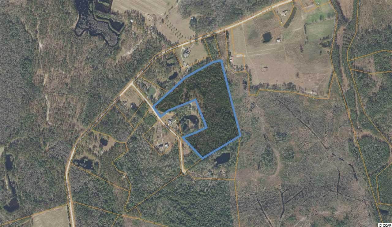 24.37 acres Old Country Rd. - Photo 1