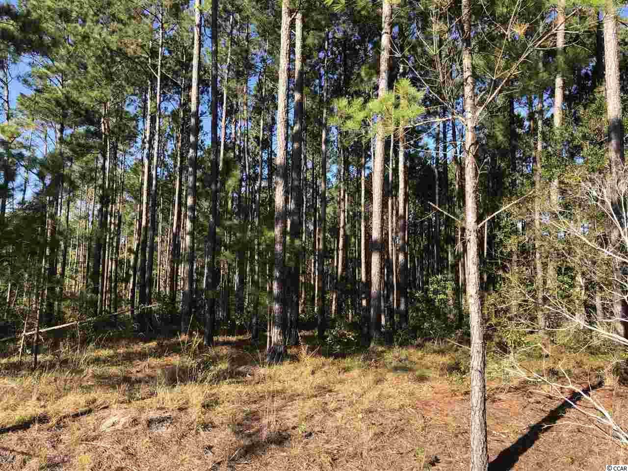 3025 Holly Berry Ct. - Photo 1