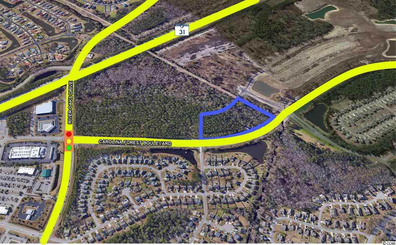 TBD Carolina Forest Blvd. - Photo 1