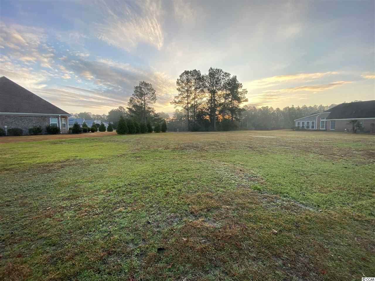 1008 Foxtail Dr. - Photo 1